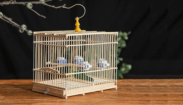 Xkun Bamboo Bird Cage review