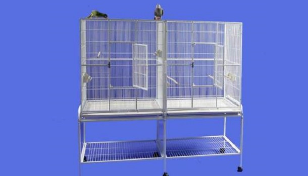 a&e cage company cage