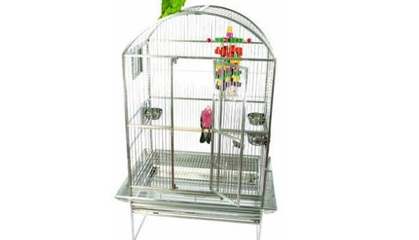 a&e dome top cage