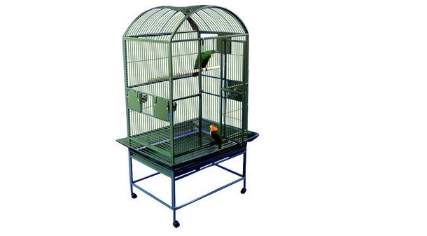 a&e green bird cage