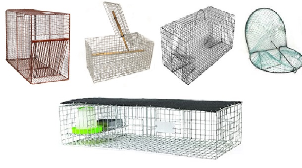bird cage traps