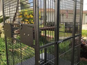 cat proof bird cages