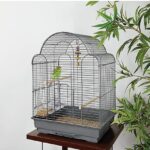 elegant-luxury-bird-cage