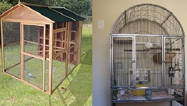 indoor outdoor pigeon cage