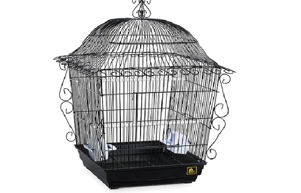 prevue hendry dome top cage