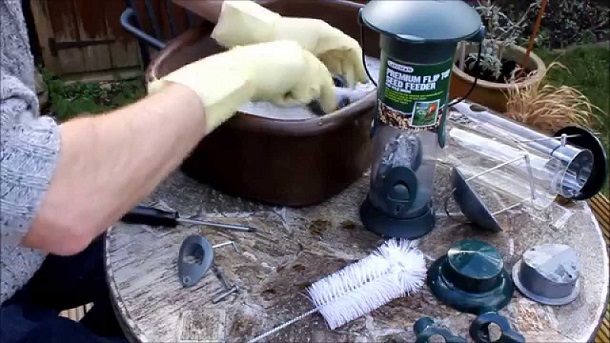 Bird Feeder Cleaning