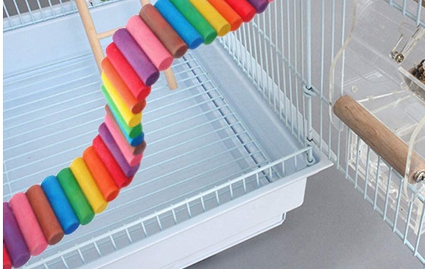 Hamiledyi Rainbow Bridge Ladders