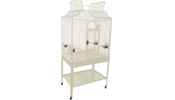 King's Cages Slf 3221 Bird Cage Review