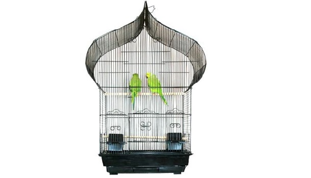 Mcage Gothic Bird Cage Review