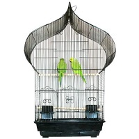 Mcage Gothic Bird Cage Summary
