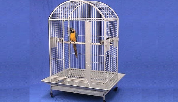 Mcage Wrought Iron Bird Cage Review