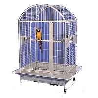 Mcage Wrought Iron Bird Cage Summary