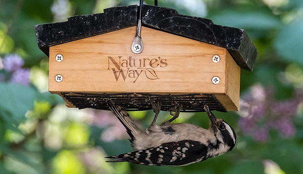 Nature's Way Upside Down Bird Cage Review