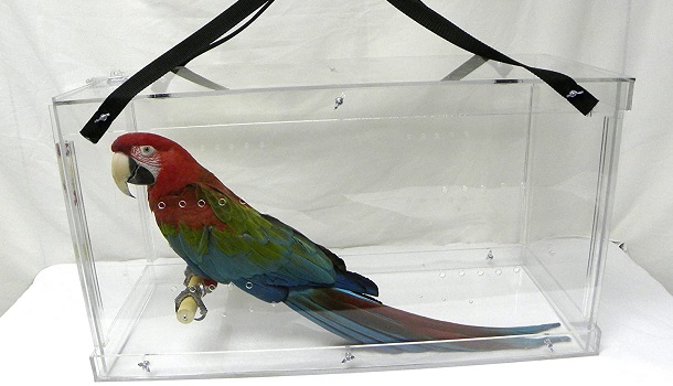 Penzoni Display Travel Bird Cage