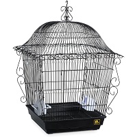 Prevue Hendryx Gothic Bird Cage Summary