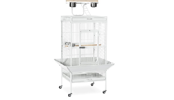 Prevue Pet Products 3151Blk Bird Cage Review