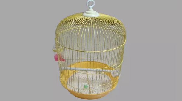 Rounded Body Cage