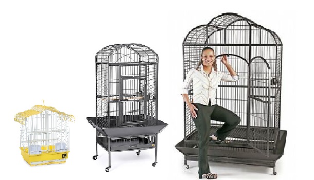 Small, medium, large cage