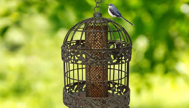 Westcharm Bird Feeder Wire Cage Review