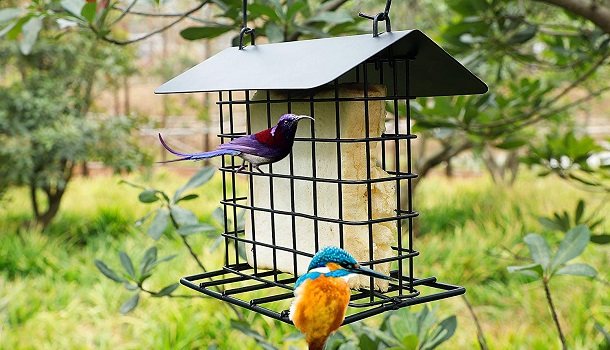 Winemana Outdoor Bird Cage