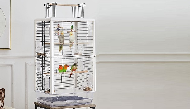 Yaheetech Transparent Bird Cage Review