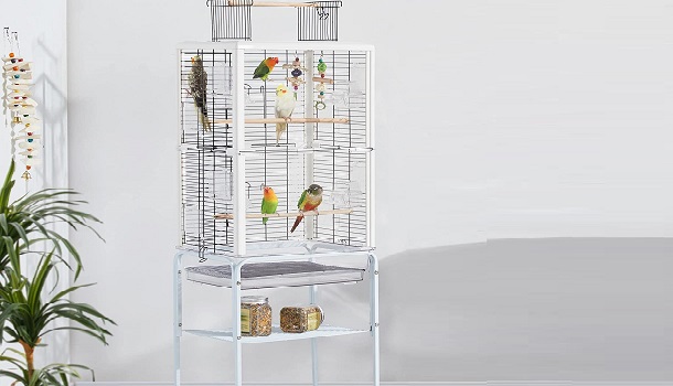 Yaheetech Transparent Bird Cage Review