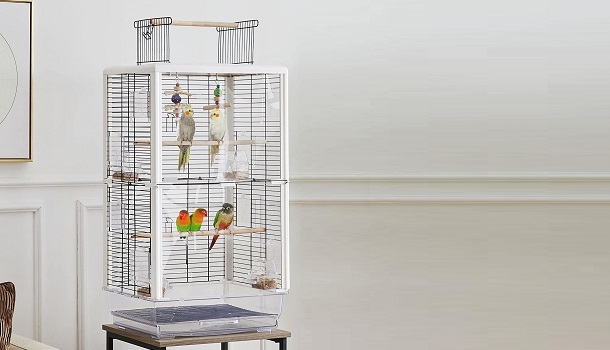 Yaheetech Transparent Bird Cage
