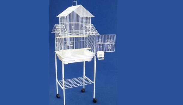 Yml 5844 Bird Cage Review