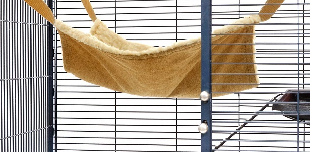 hammock-in-an-animal-cagee