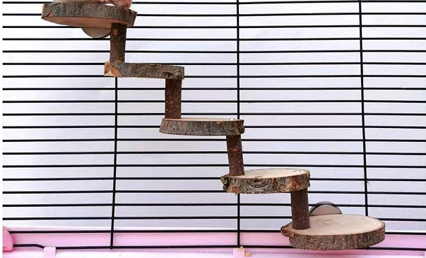ladder for rat cage