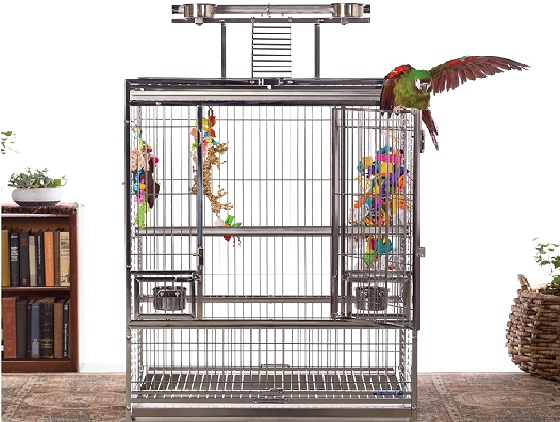 metal-bird-cage