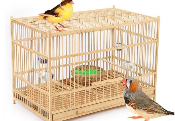 miumaeov large bamboo bird cage