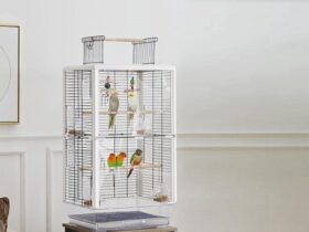 modern-bird-cage