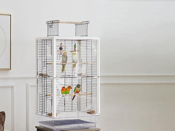 modern-bird-cage