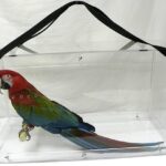 plastic-bird-cage