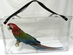 plastic-bird-cage