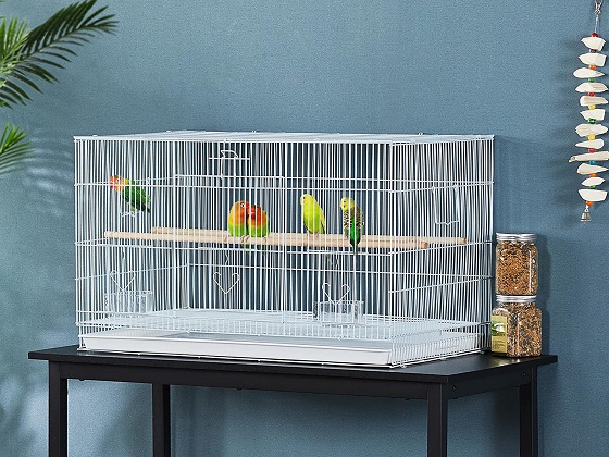 table-top-bird-cage