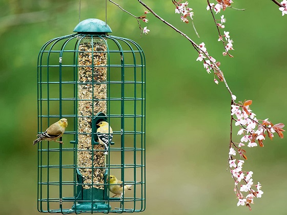 wire-cages-for-bird-feeders