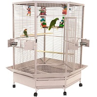 A&e Corner Bird Cage Summary