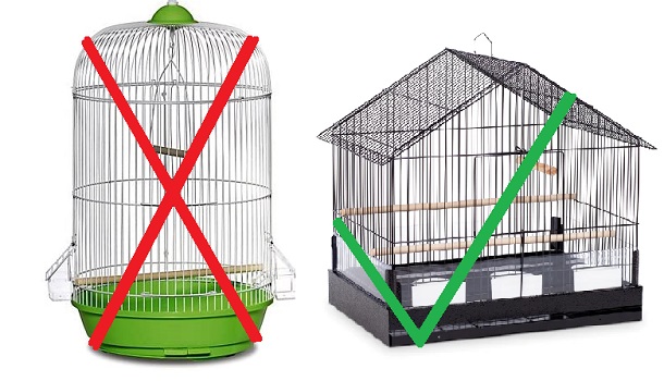 Bird Cage Do And Don't - Shape