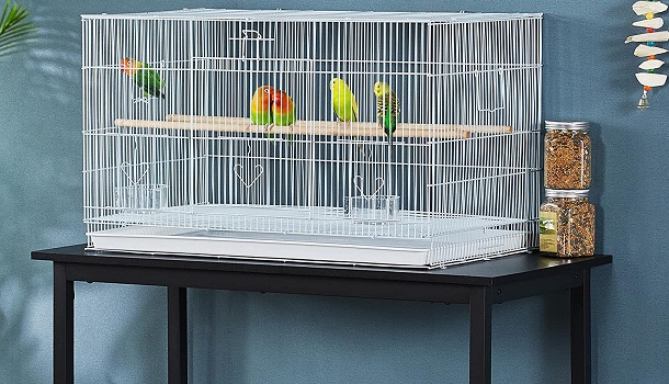 Bird Cage On Table