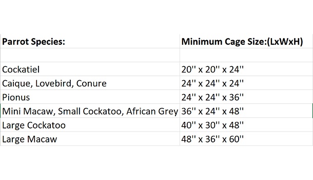 Cage Size For Parrot