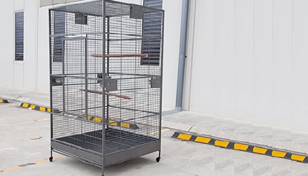 Flyline Flight Bird Cage