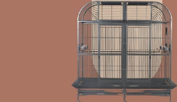 King's Cages Parrot Bird Cage