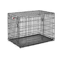 Midwest Pigeon Bird Cage Summary