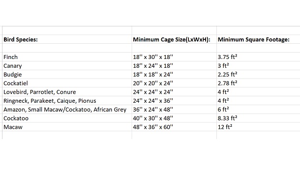 Minimum Cage Size And Footage