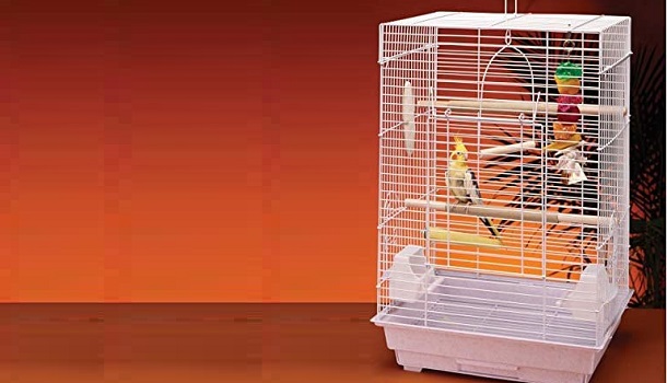Penn Plax Starter Bird Cage