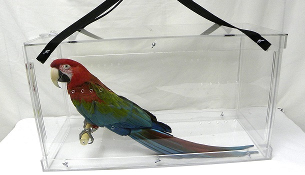 Penzonny Display Acrylic Bird Cage
