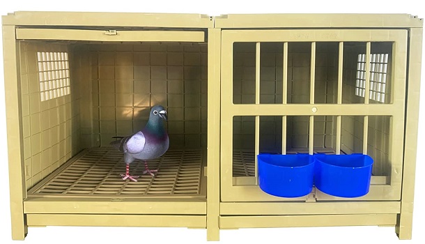 Srrpspigeon Breeding Bird Cage