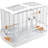 Vision L01 Bird Cage Summary